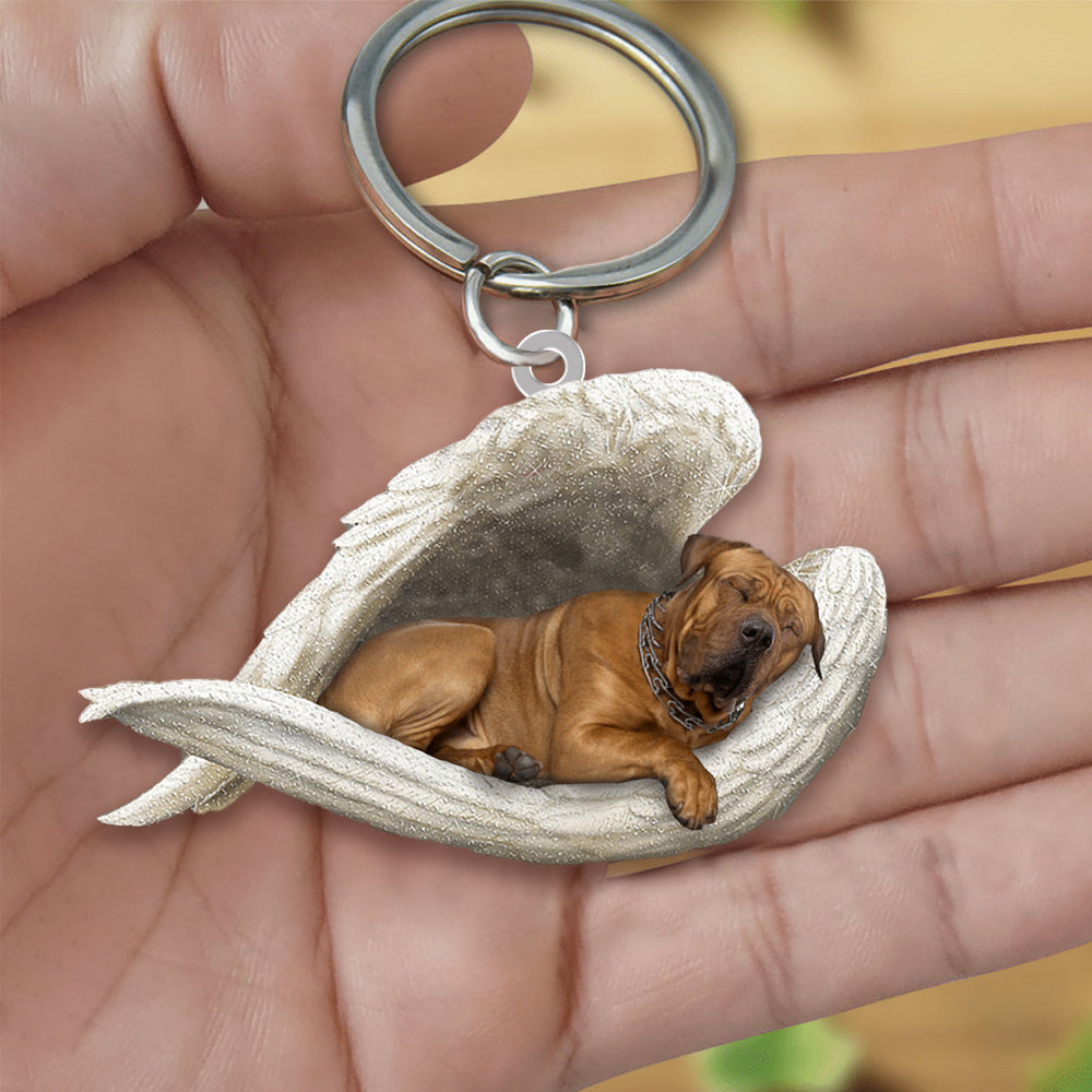 Tosa Sleeping Angel Acrylic Keychaine